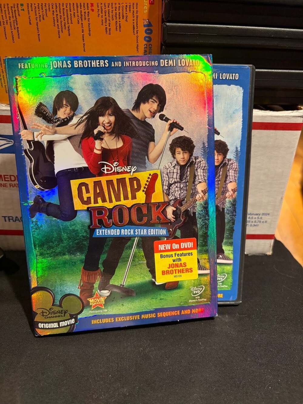 Camp Rock DVD